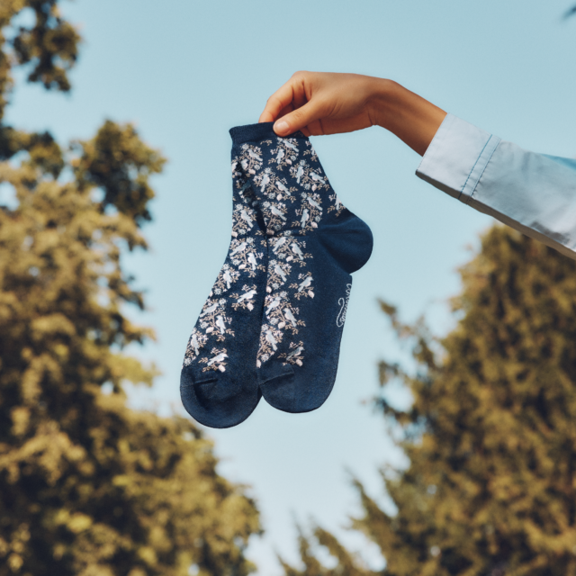 Maison Broussaud - Les mésanges - chaussettes femme - coton marine – 39/41 / MARINE
