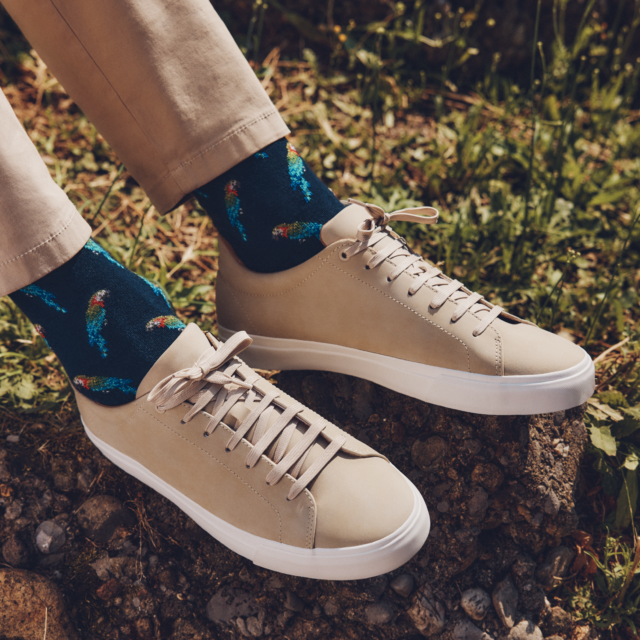 Maison Broussaud - Les perroquets - chaussettes homme - coton marine – 43/46 / MARINE