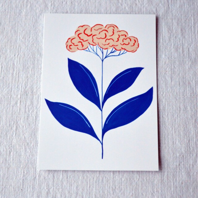 Maison Primavera - Lot de 4 cartes postales - Primavera