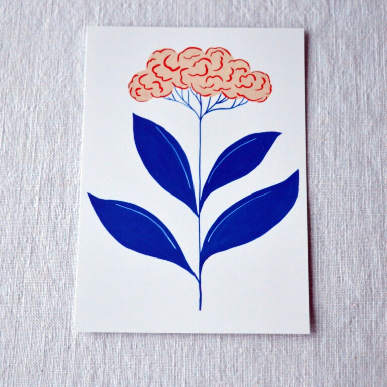 Maison Primavera - Lot de 4 cartes postales - Primavera