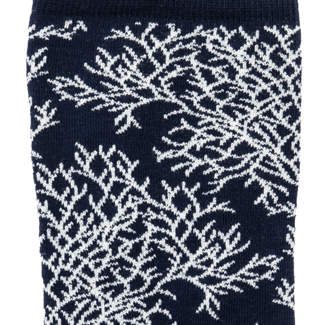 Maison Broussaud - Les "Corail" Armor-lux x Maison Broussaud - chaussettes femme - coton marine – 39/41 / MARINE/GRIS ARGENT