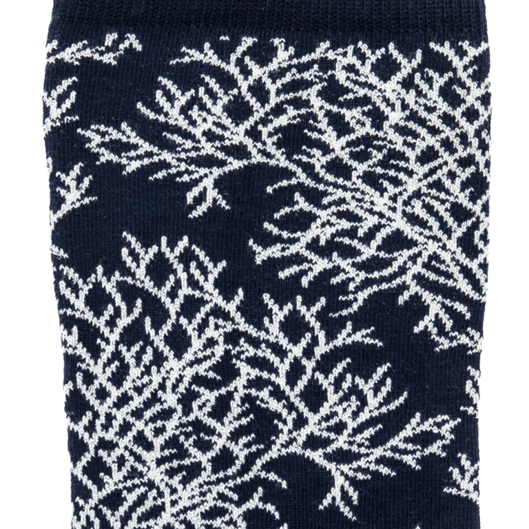 Maison Broussaud - Les "Corail" Armor-lux x Maison Broussaud - chaussettes femme - coton marine – 39/41 / MARINE/GRIS ARGENT