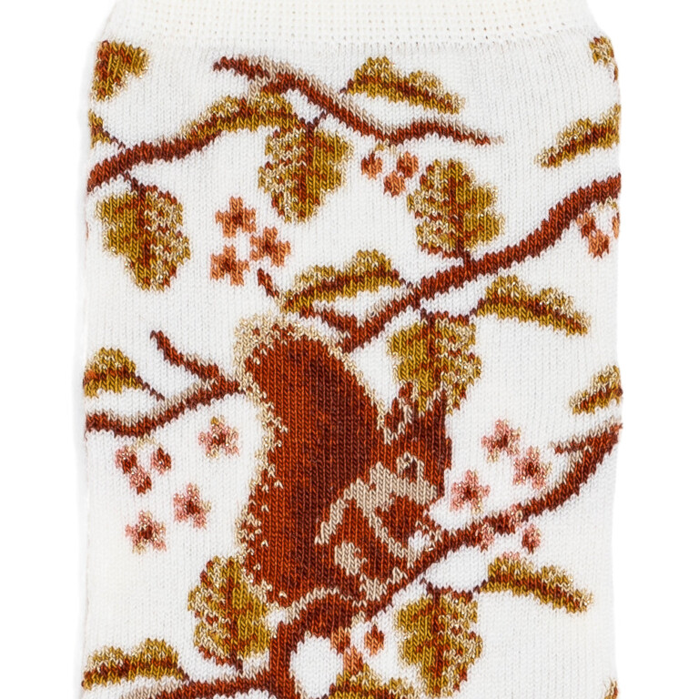 Maison Broussaud - Les écureuils - chaussettes femme - laine écru – 39/41 / ECRU