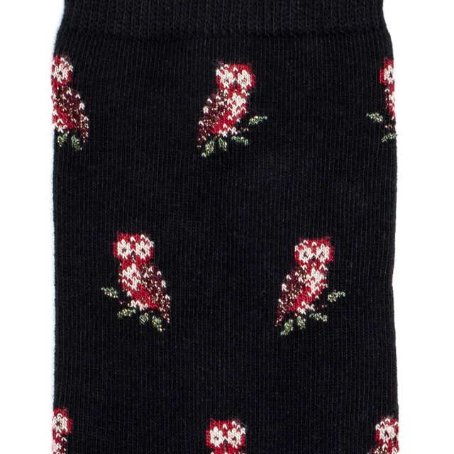 Maison Broussaud - Les chouettes - chaussettes femme - coton noir – 39/41 / NOIR