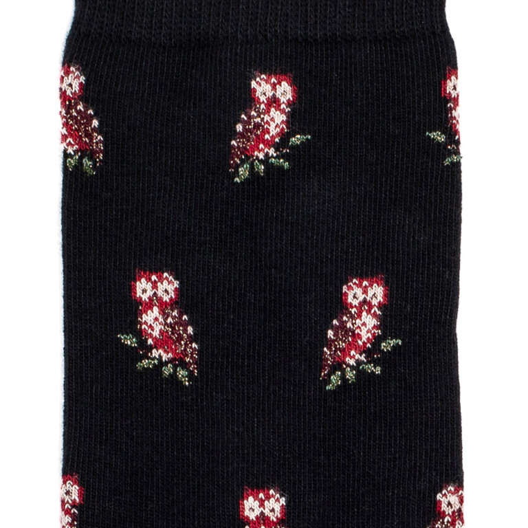 Maison Broussaud - Les chouettes - chaussettes femme - coton noir – 39/41 / NOIR