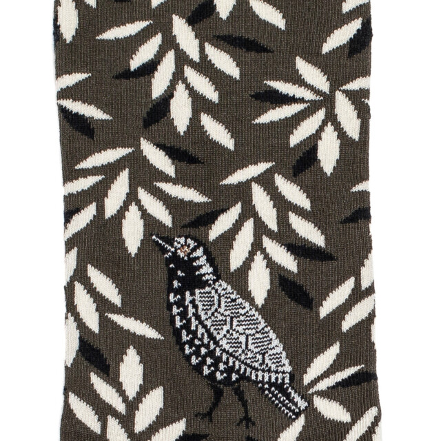 Maison Broussaud - Oiseau - chaussettes femme - coton kaki – 39/41 / KAKI