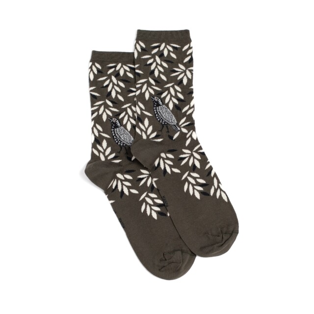 Maison Broussaud - Oiseau - chaussettes femme - coton kaki – 39/41 / KAKI