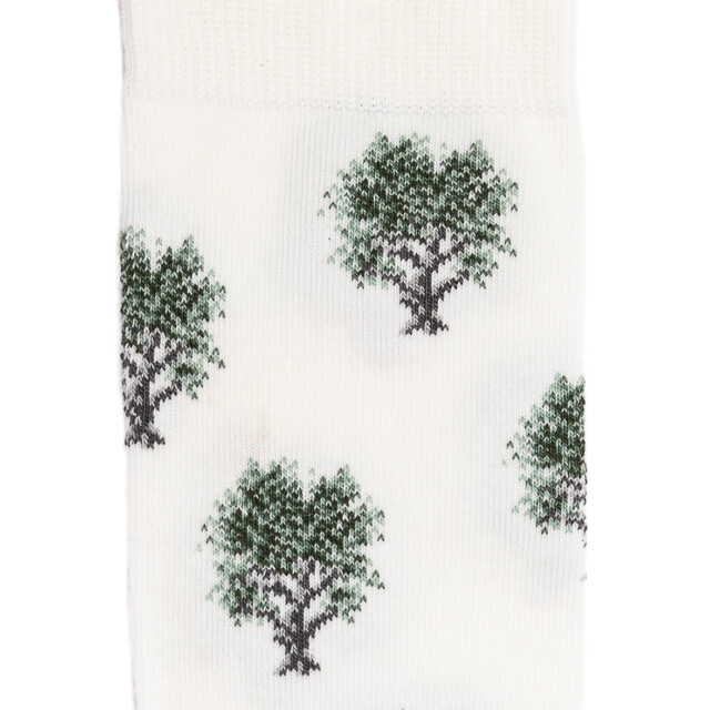 Maison Broussaud - Les oliviers - chaussettes homme - coton blanc – 43/46 / BLANC
