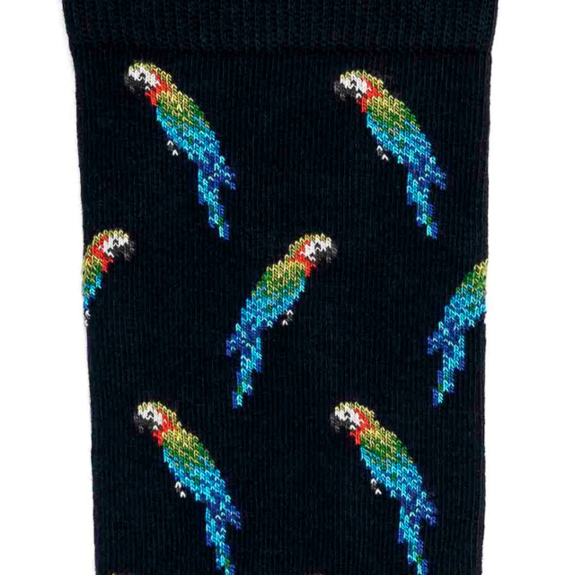 Maison Broussaud - Les perroquets - chaussettes homme - coton marine – 43/46 / MARINE