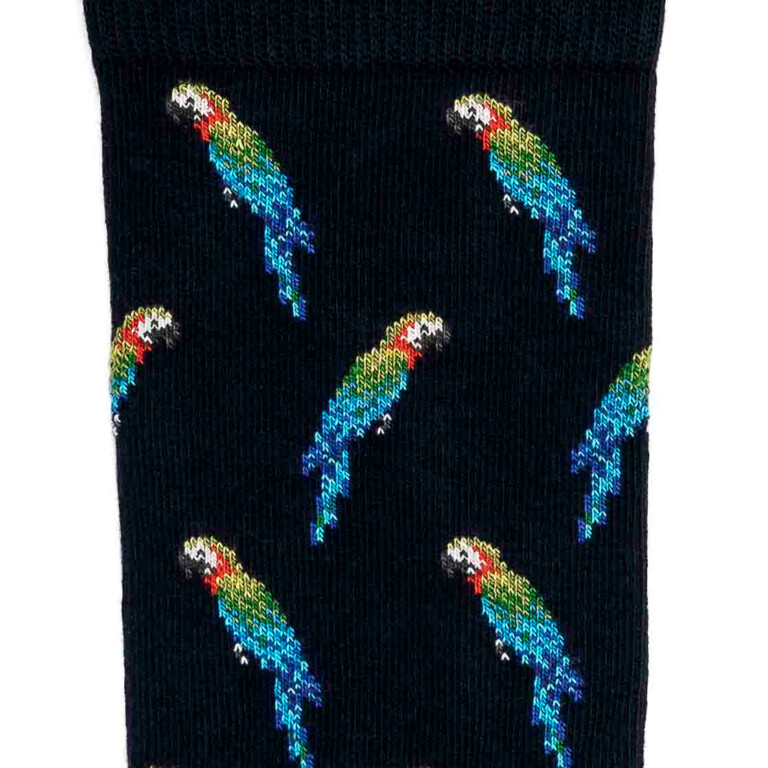 Maison Broussaud - Les perroquets - chaussettes homme - coton marine – 43/46 / MARINE