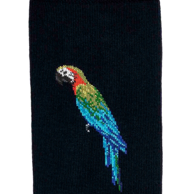 Maison Broussaud - Le perroquet - chaussettes homme - coton marine – 43/46 / MARINE