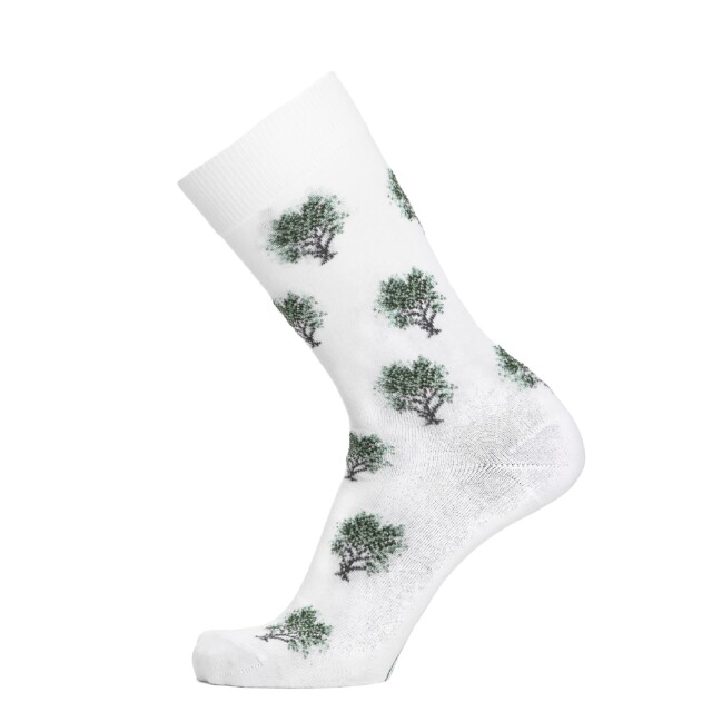 Maison Broussaud - Les oliviers – chaussettes homme – coton blanc
