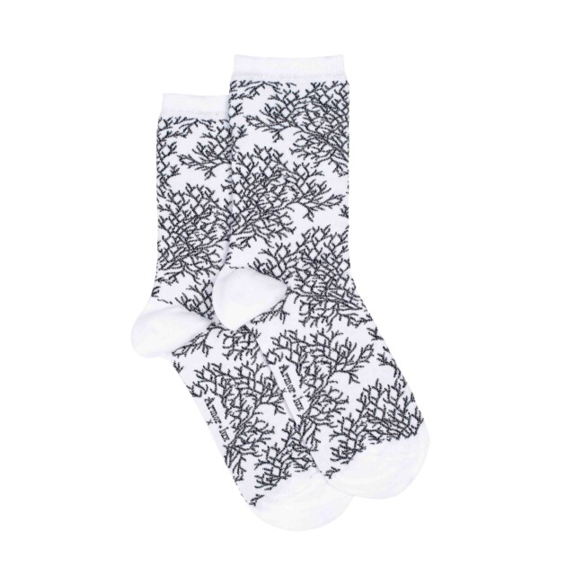 Maison Broussaud - Les "Corail" Armor-lux x Maison Broussaud - chaussettes femme - coton blanc – 39/42 / BLANC/BLEU