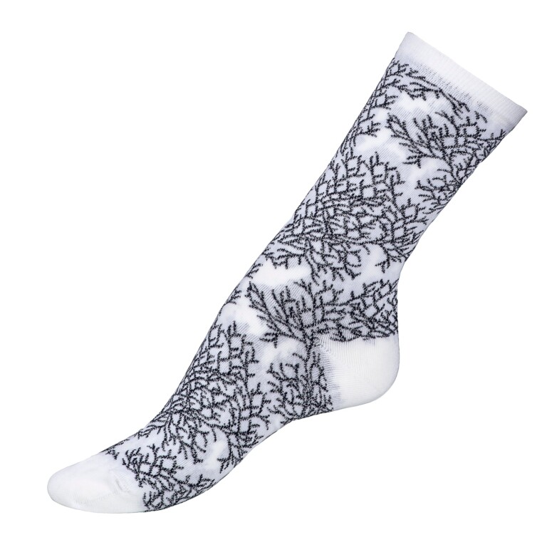 MG 3690 Maison Broussaud - Les "Corail" Armor-lux x Maison Broussaud - chaussettes femme - coton blanc – 39/42 / BLANC/BLEU