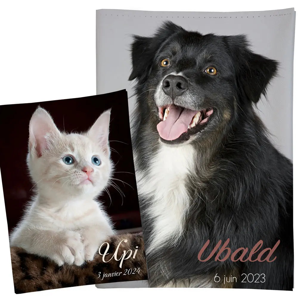 Photo chat ou chien en couverture de carnet de sante Atelier Baby’Sphère - Carnet de santé ou passeport avec photo chien ou chat