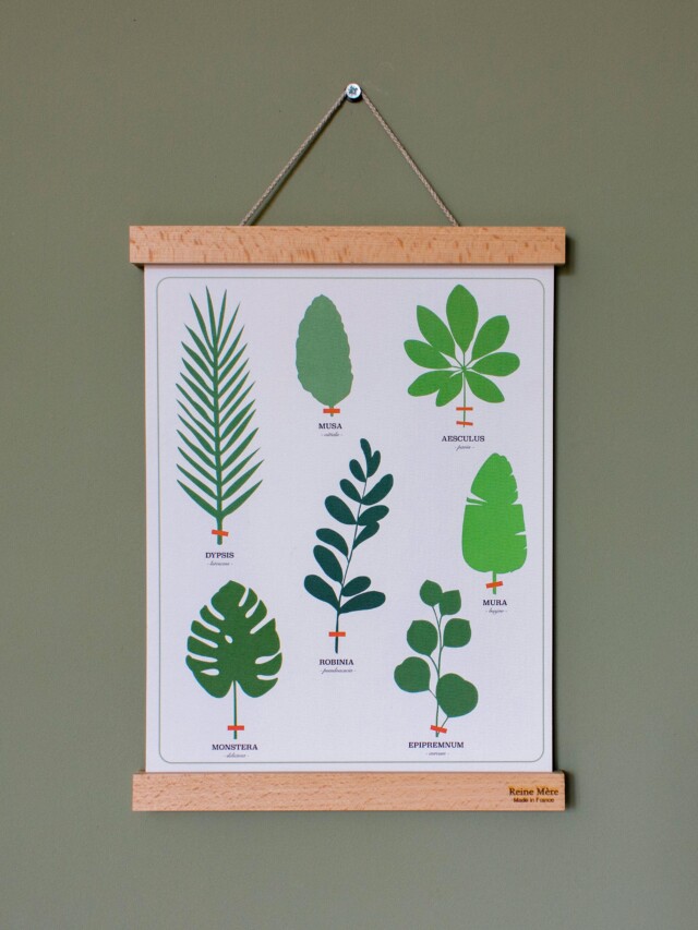 Reine Mère - Porte Affiche - Tasseaux – 71 cm