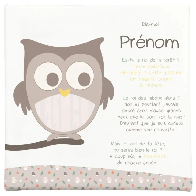 Atelier Baby’Sphère - Toile autour du prénom avec le hibou de la forêt