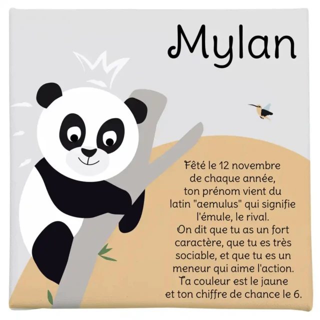 L’Atelier BABY’SPHERE - Petit panda et l’origine des prénoms sur une jolie toile