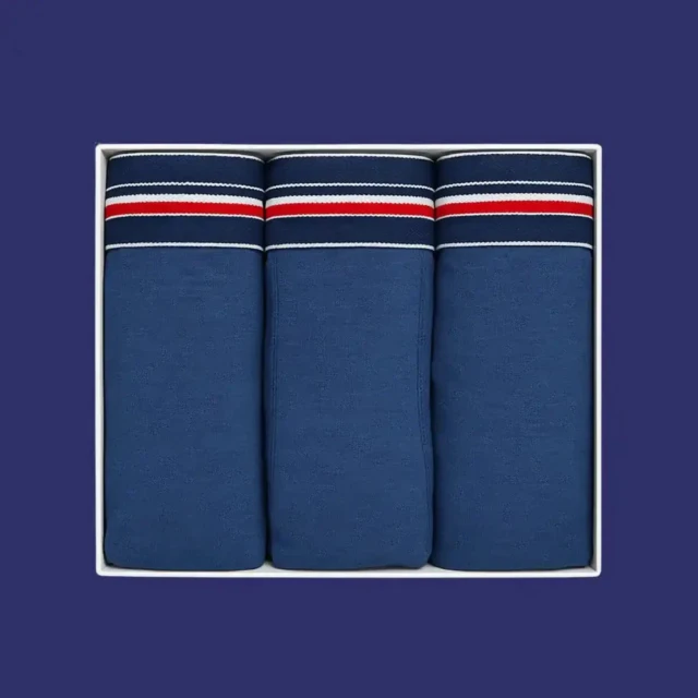 PALÂBA - Cadeau coffret homme | Slip bleu marine – XL
