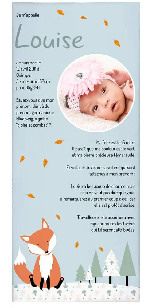 L’Atelier BABY’SPHERE - Cadre texte et photo naissance de Rod le petit renard