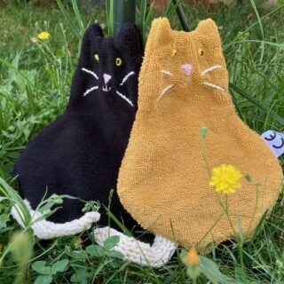 chats-ain-doudou-de-mamou