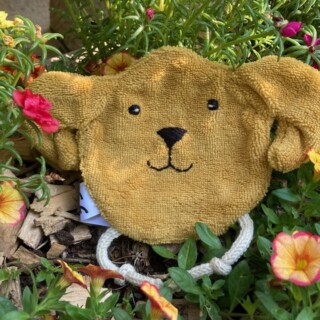 chien-ain-doudou-de-mamou