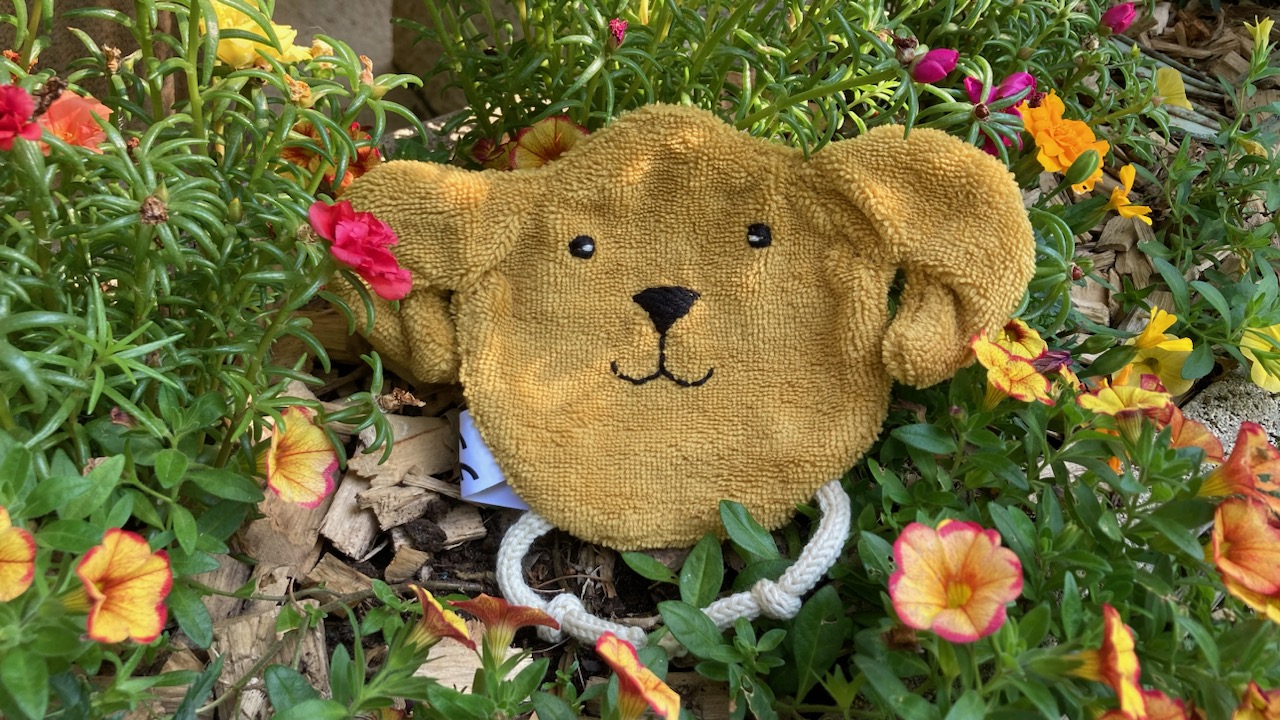 chien-ain-doudou-de-mamou