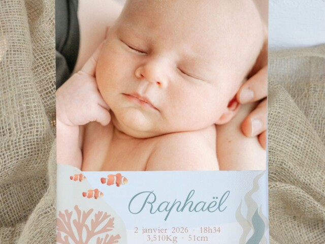 customall - Protège carnet de santé bébé personnalisé avec photo – Thème Océan – Fabrication française – Oui