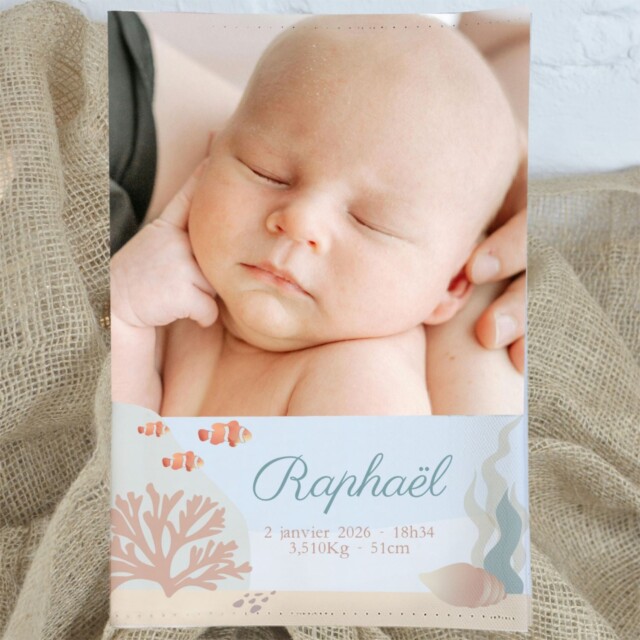 L’Atelier BABY’SPHERE - Protège carnet de santé bébé personnalisé avec photo – Thème Océan – Fabrication française