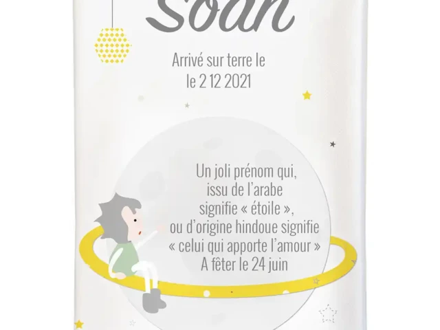 Atelier Baby’Sphère - Protège carnet de santé du petit prince sur sa planète