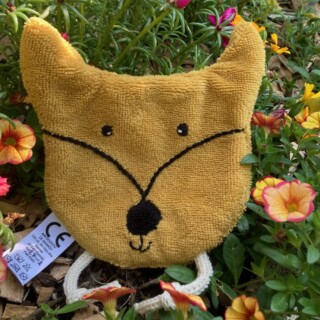 renard-ain-doudou-de-mamou