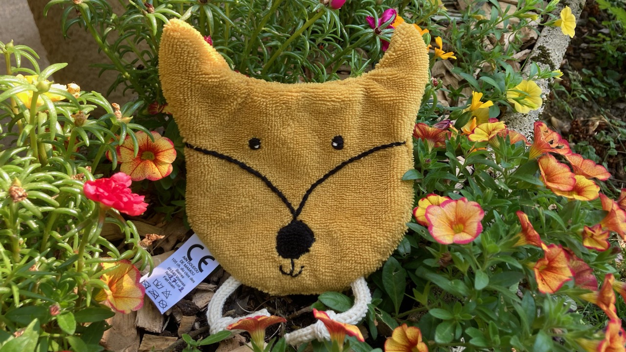renard-ain-doudou-de-mamou