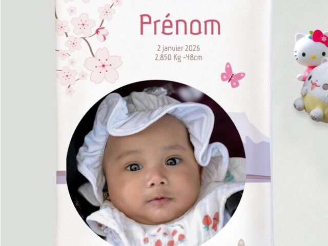 customall - Protège carnet de santé bébé personnalisé – Thème Japon & Cerisier en fleurs – Oui