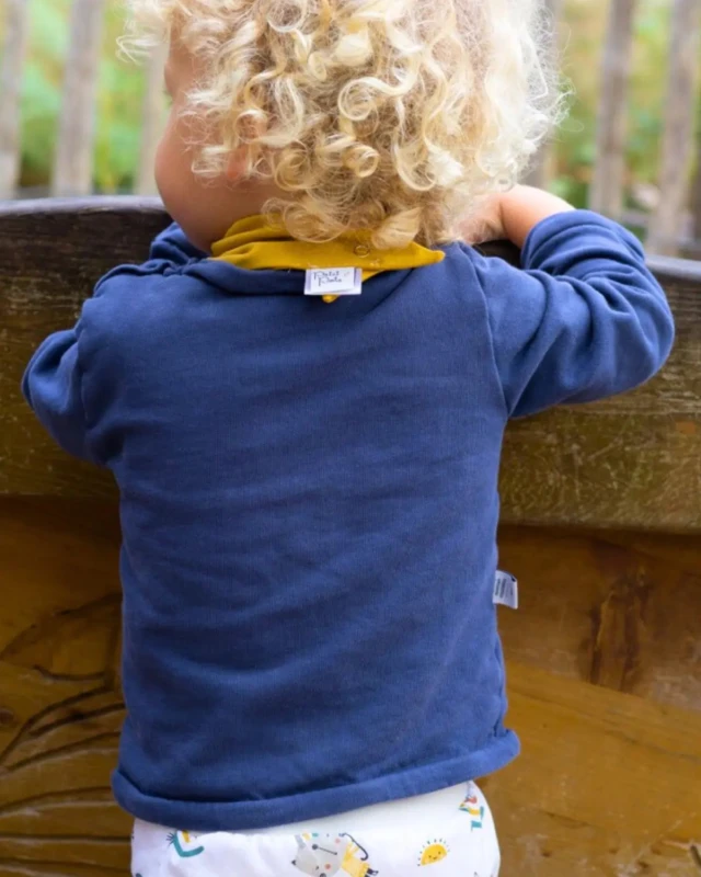 Petit Pote - Sweat coton uni – 4 ans / Vert d'eau