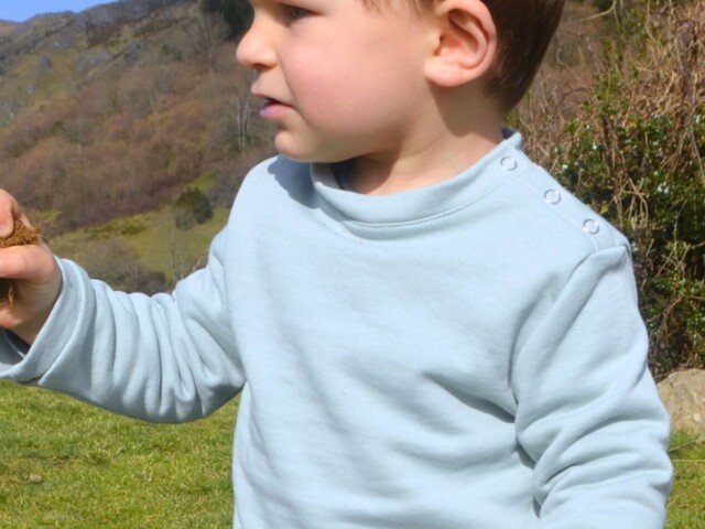 Petit Pote - Sweat coton uni