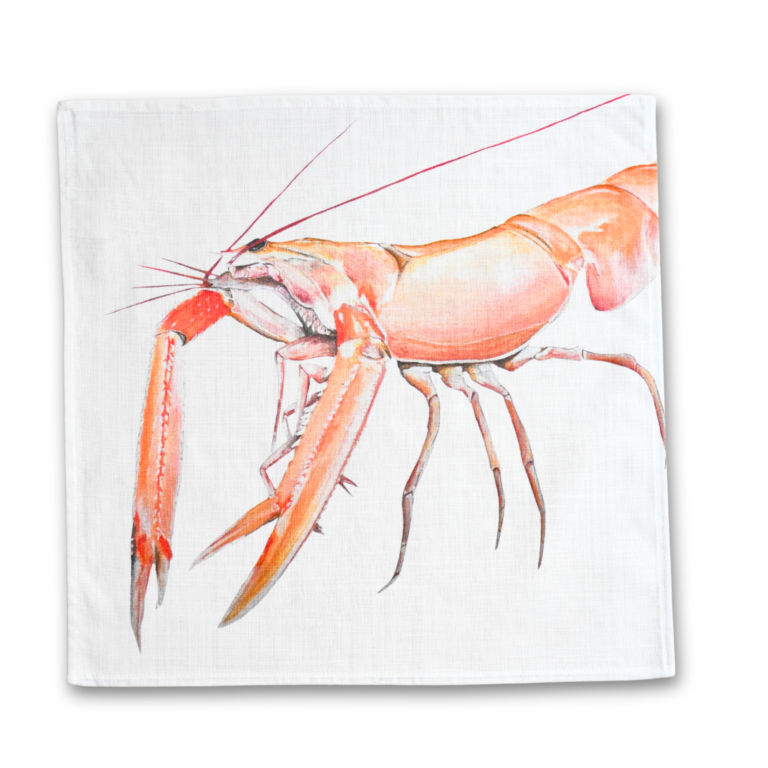 varek.illustrations - Serviette de table en coton : Langoustine