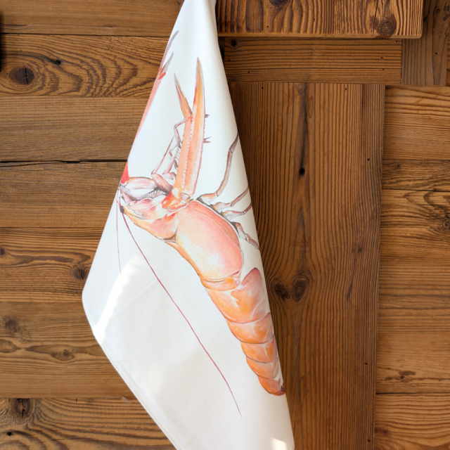 varek.illustrations - Torchon 100% coton : La Langoustine