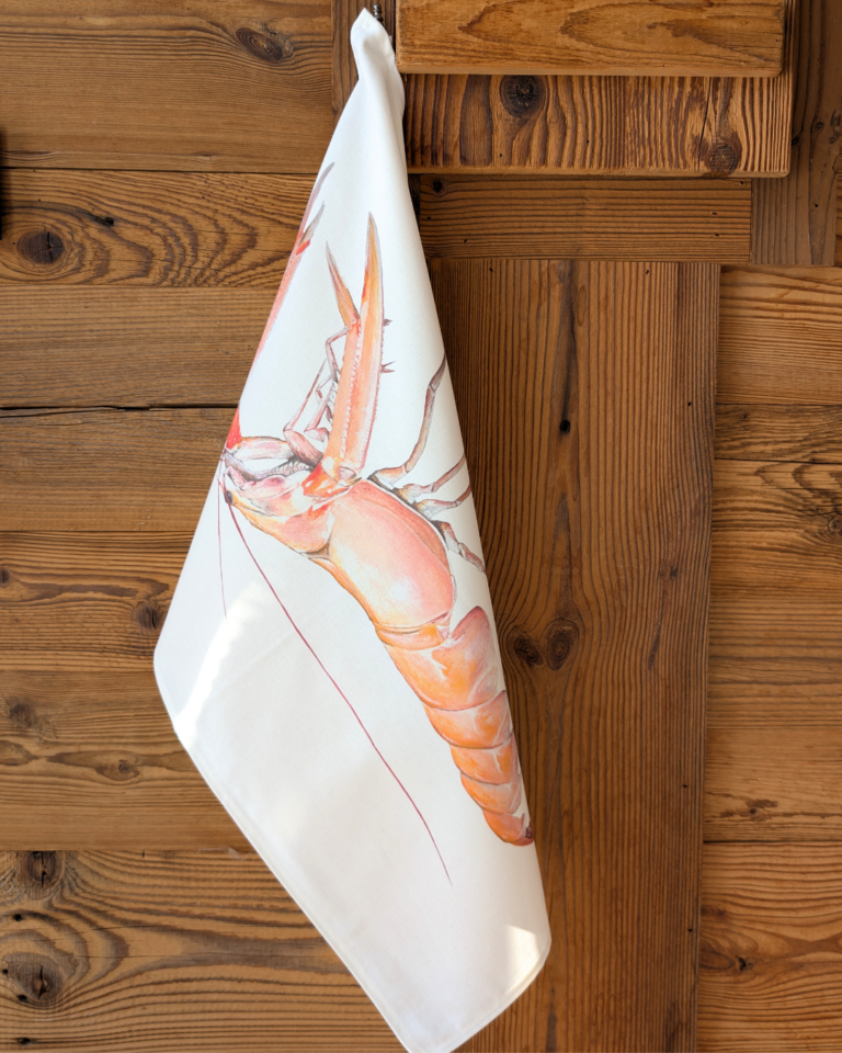 varek.illustrations - Torchon 100% coton : La Langoustine