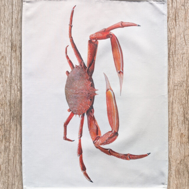 varek.illustrations - Torchon 100% coton : L'Araignée de Mer