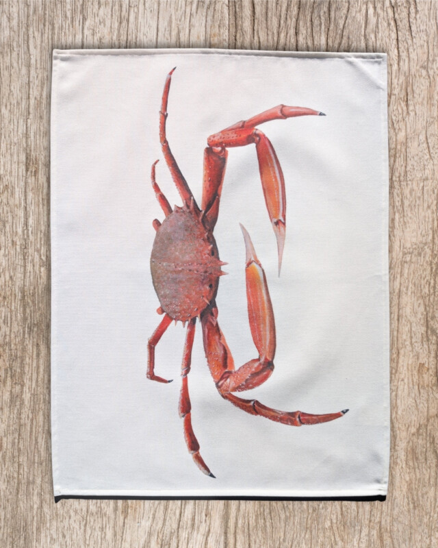 varek.illustrations - Torchon 100% coton : L'Araignée de Mer