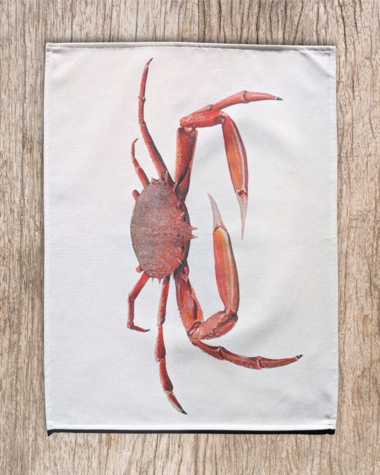 varek.illustrations - Torchon 100% coton : L'Araignée de Mer