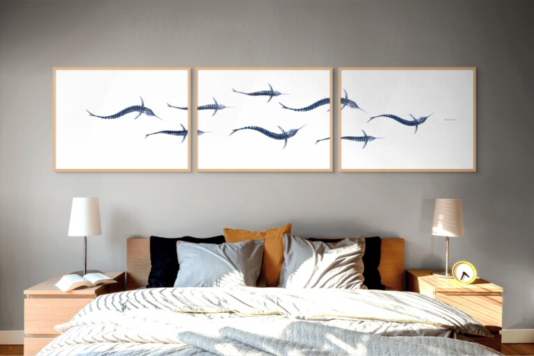 varek.illustrations - Triptyque : Les marlins vus du ciel