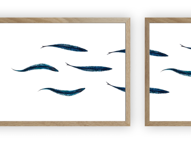varek.illustrations - Triptyque : Les maquereaux vus du ciel