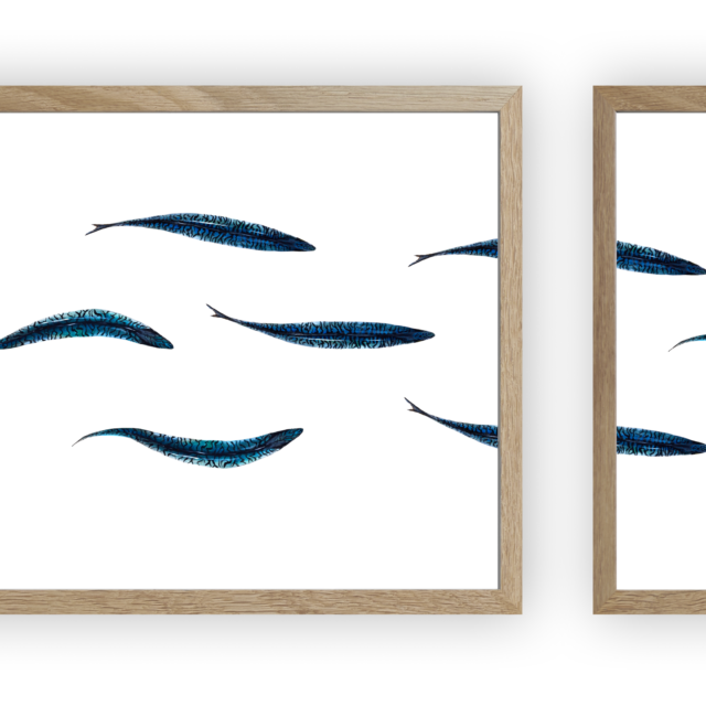 varek.illustrations - Triptyque : Les maquereaux vus du ciel