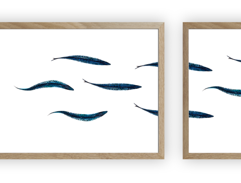 varek.illustrations - Triptyque : Les maquereaux vus du ciel