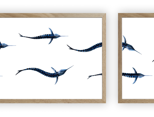 varek.illustrations - Triptyque : Les marlins vus du ciel