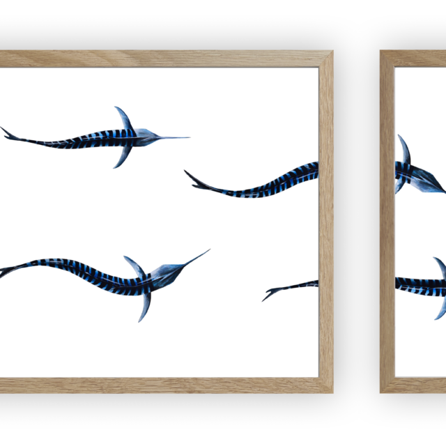varek.illustrations - Triptyque : Les marlins vus du ciel