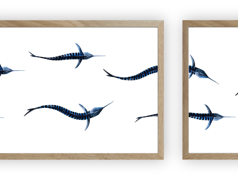 varek.illustrations - Triptyque : Les marlins vus du ciel