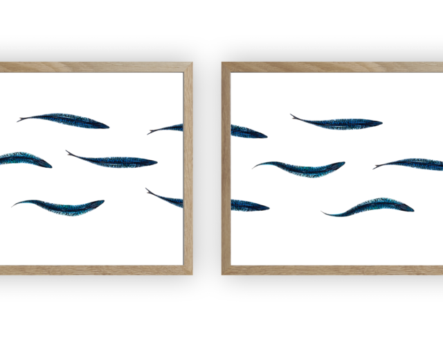 varek.illustrations - Triptyque : Les maquereaux vus du ciel