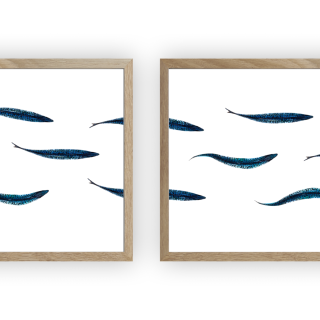 varek.illustrations - Triptyque : Les maquereaux vus du ciel